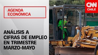 Desocupación de 85 El empleo en Chile durante marzomayo  Agenda Económica [upl. by Rodman]