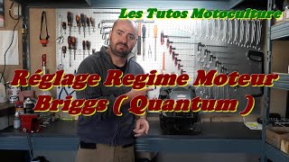 Réglage régime moteur  Briggs  Quantum [upl. by Dail]