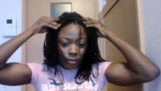 Hair Howto How I Moisturize My Locs [upl. by Newmann738]