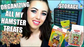 ALL MY HAMSTER TREATS  Organizing my Hamster Treat Collection [upl. by Elleron]