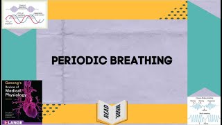 Lecture on Periodic Breathing in Respiratory Physiology for Medical Students [upl. by Fisk117]