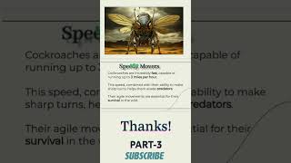 cockroach cockroach movement scibioexplorer [upl. by Duleba]