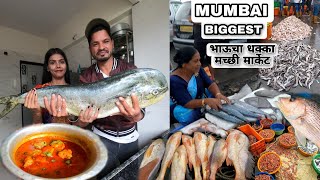 भाऊचा धक्का मच्छी मार्केट मधून आणला 7 किलोचा पोपट मासा 500 रुपयात  Mahi Mahi Fish  Marathi Recipe [upl. by Akienat182]