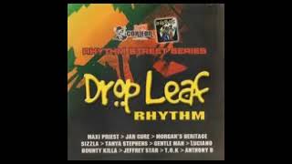 DROP LEAF RIDDIM 2005 MIXED DJ CORLEONA [upl. by Turtle]