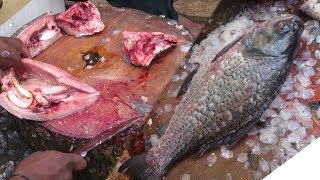 Big Catla catla Fish Cutting  Fastest Big Fish Cutting  Indian Big Carp Fish Cutting [upl. by Gnoud839]