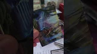 Opening Wilds of Eldraine SBB mtg mtgmodern mtgedh mtgcommunity mtgcommander magicthegathering [upl. by Hsakaa]