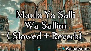 Maula Ya Salli Wa Sallim  slowed amp reverb [upl. by Rehpotsyrhc]