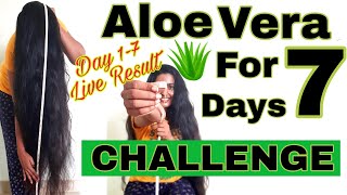 Aloe Vera for 7 days Challenge Hair Care ChallengeAloe vera for HairFast Hair GrowthMalayalam [upl. by Sudnak]