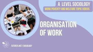 The Organisation of Work  A Level Sociology  Work Poverty amp Welfare [upl. by Mickelson]