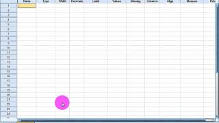 spss2 Mariwan Mamundi [upl. by Ocin]