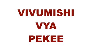 vivumishi vya pekee  viunganishi vya pekee  vivumishi vya kumiliki vivumishi vya pekee in english [upl. by Delmar]