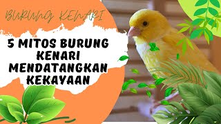 5 Mitos Memelihara Burung Kenari Mendatangkan Kekayaan [upl. by Gonta]