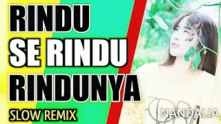 DJ RINDU SE RINDU RINDUNYA REMIX ORIGINAL TERBARU [upl. by Kylander931]