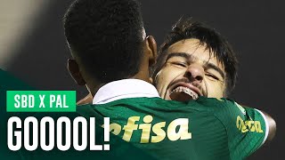 GOL  SÃO BERNARDO 0 X 1 PALMEIRAS  PAULISTA 2024 [upl. by Hooper749]