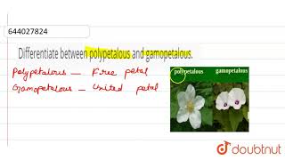 Differentiate between polypetalous and gamopetalous  9  THE FLOWER  BIOLOGY  ICSE  Doubt [upl. by Nabatse]