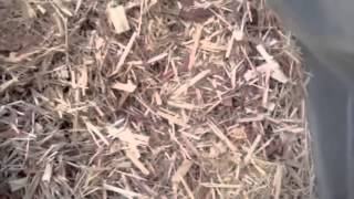 How to make charcoal briquettes from sawdust [upl. by Aissenav926]