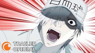 Cells at Work Segunda Temporada  TRAILER OFICIAL [upl. by Tsai]