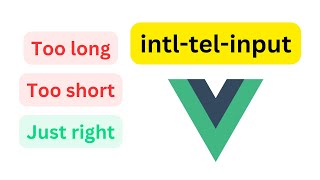 intltelinput Specific Error Messages VUEJS [upl. by Eran]