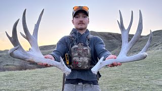 Shed Hunting 2024 “Giant Sets” 200” Mule Deer Set amp Moose Set [upl. by Hpotsirhc]