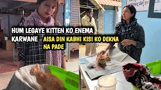 Kitten dealing with constipation gets an enema and Has a Huge poop  so painful 😖 [upl. by Eterg]