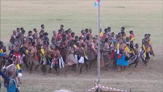 Umhlanga Reed Dance Ceremony in the Kingdom of Eswatini [upl. by Ardnassac]