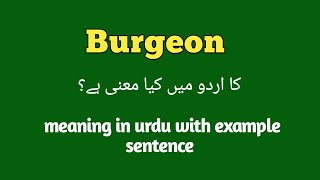 Burgeon meaning in Urdu  English  Hindi  Burgeon with sentence example How to pronounce burgeon [upl. by Edualcnaej524]