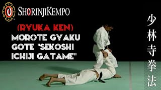 MOROTE GYAKU GOTE SEKOSHI ICHIJI GATAME [upl. by Lemart]