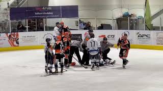 Telford Tigers vs Bristol Pitbulls NIHL fights 2423 [upl. by Nahgiem]