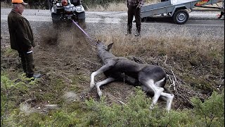 TRAILER Långt ifrån Vadå 4 min [upl. by Stetson]