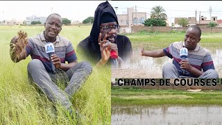 🔴Nettoyage Champ de Courses Samedi 07 Septembre 2024  Écoutez Mame Cheikh Ahmed TIDIANE DIOP [upl. by Airasor]