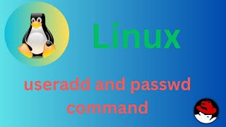 4850 Basic Linux Commands  useradd amp passwd command Explained shortsvideo linux linuxtutorial [upl. by Nemra]