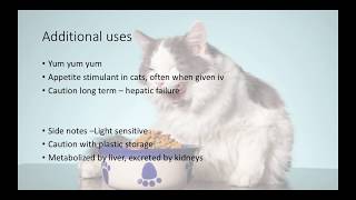 Veterinary Tranquilizers and Sedatives VETERINARY TECHNICIAN EDUCATION [upl. by Salahcin]