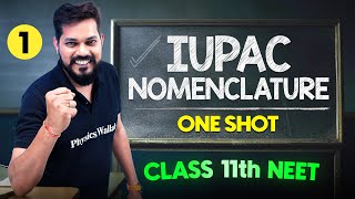 IUPAC Nomenclature  Complete Chapter in One Video  ConceptsPYQs  Class 11th NEET [upl. by Delmore117]