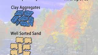 Fundamentals of Soil Science Lecture7th UnitIV [upl. by Adias]