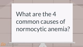 Normocytic Anemia [upl. by Nylynnej]