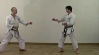 Heian Sandan  Shotokan Kata Bunkai [upl. by Acnoib]