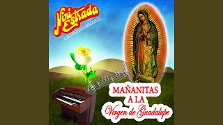 Mañanitas Guadalupanas Oh Virgen [upl. by Starks]