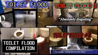 MEGA TOILET FLOOD COMPILATION  SUPER OVERFLOW [upl. by Anaidiriv]