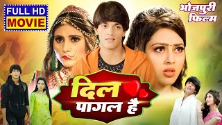 DIL PAGAL HAI I दिल पागल है I SUPERHIT BHOJPURI MOVIE 2024 Ego Prem Deewani Ego Daras Deewani [upl. by Marlena]