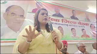 Delhi mahila Congress पूर्व adhyaksh अमृता धवन जी नजफगढ़ जिले की मीटिंग दिल्ली की पूर्व मुख्यमंत्री [upl. by Darton]