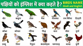 पक्षियों के नाम इंग्लिश में  Birds name in hindi and english with pictures  Daily use english word [upl. by Toille]