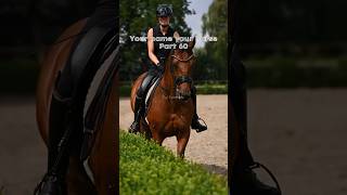 Your name your horse part 60  horse view viral equestrian shorts fypシ゚viral [upl. by Rhoda941]