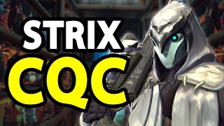 GETTING CLOSE AND PERSONAL WITH STRIX  Paladins Gameplay [upl. by Aikemahs]