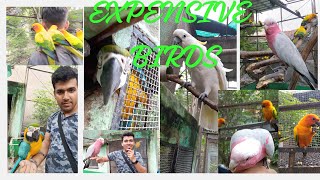 RARE EXOTIC BIRDS COLLECTION AND BREEDING AVIARY IN ASANSOL MACAW SUN CONURE  AFRICAN GREY PARROT [upl. by Hyams465]