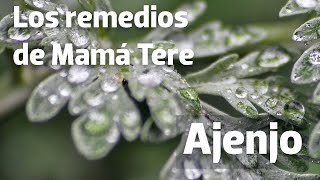 Los remedios de Mamá Tere El ajenjo [upl. by Llehsor]