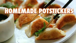 Potstickers Made From Scratch Pan Fried Dumplings [upl. by Abroms590]