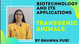 TRANSGENIC ANIMALSBIOTECHNOLOGY AND ITS APPLICATIONSCH12BIOLOGY [upl. by Stephani298]