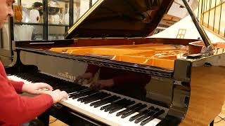 JS Bach Invention N°8 in F major BWV 779 on Schimmel K280 piano slow [upl. by Brader]