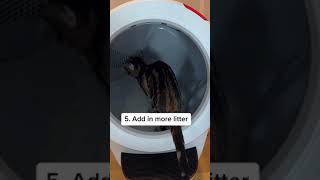 How to clean LitterRobot litter box [upl. by Igal]