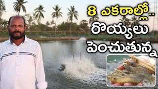 12 సంవత్సరాలుగా రొయ్యలు పెంచుతున్న  Aquaculture Farmer  రైతు బడి [upl. by Ayamat52]